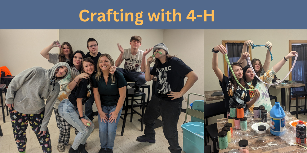 Crafting with 4-H