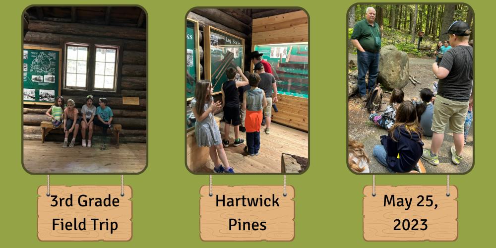 3rd Grade Hartwick Pines Field Trip