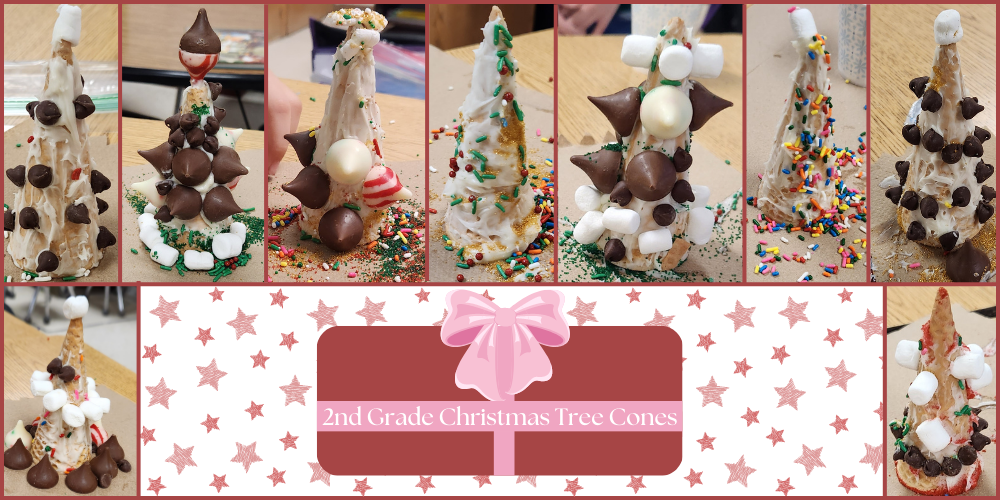 2nd Grade Christmas Tree Cones